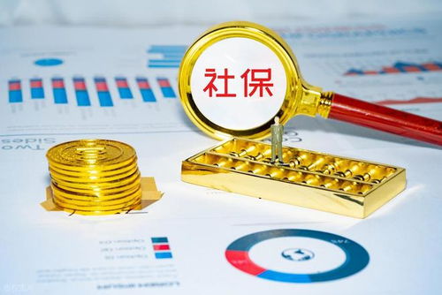 社保錢袋子誰掏空？強制繳費究竟保護誰？企業最終僅認這一招